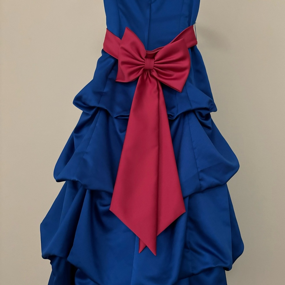 🔥 David’s Bridal flower girl dress